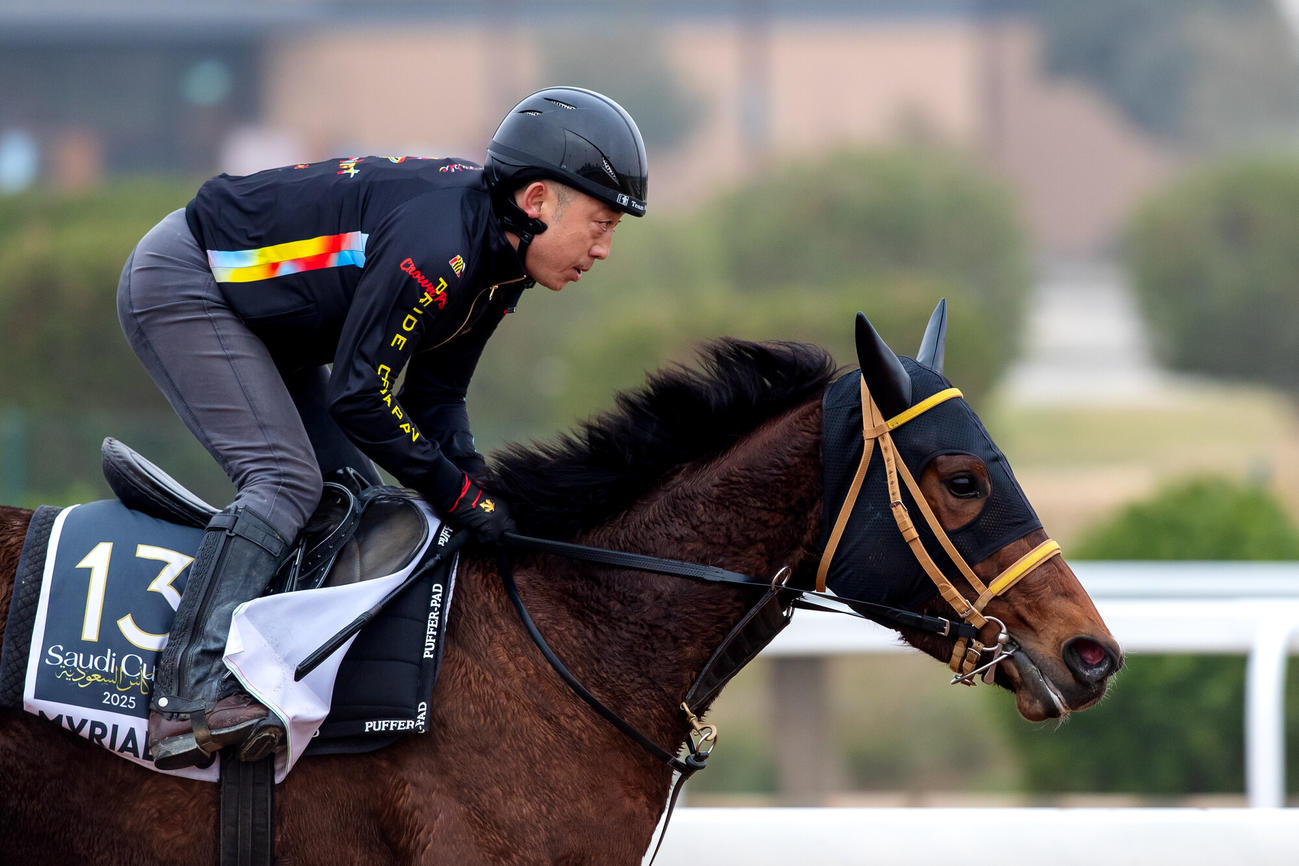 18日朝のミリアッドラヴと松田助手（C）Jockey Club of Saudi Arabia／Ali Al－Abdullah