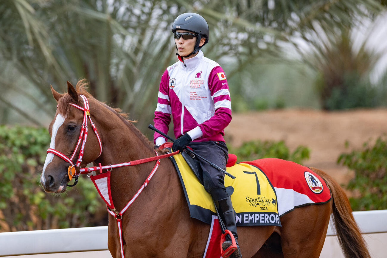 18日朝のシンエンペラー（C）Jockey Club of Saudi Arabia／Neville Hopwood
