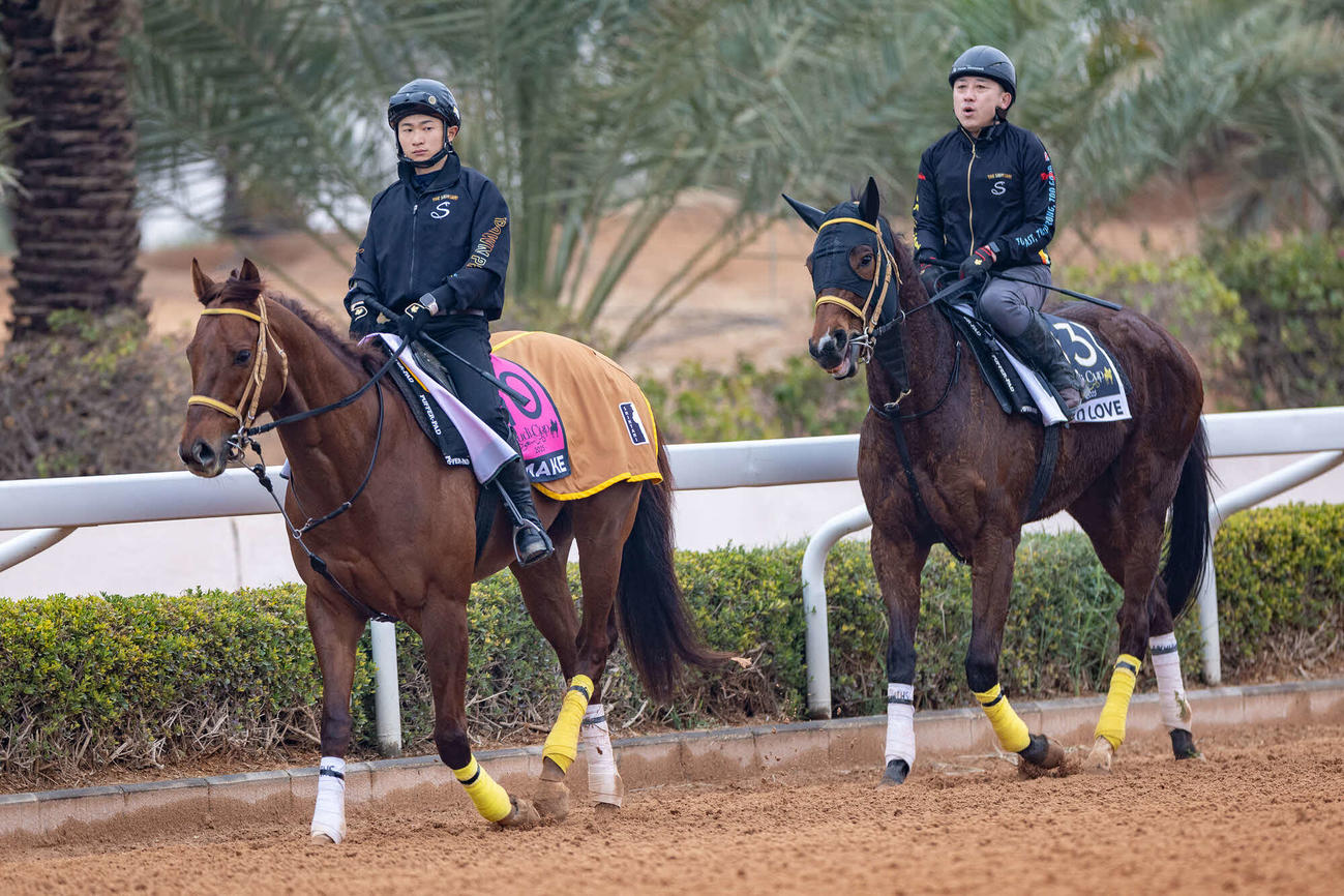 18日朝のリメイク（左）とミリアッドラヴ（C）Jockey Club of Saudi Arabia／Neville Hopwood