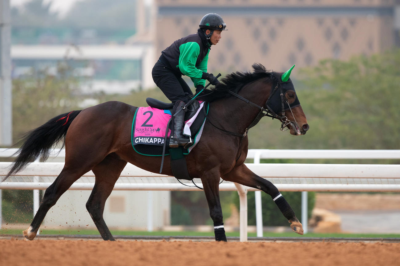 18日朝のチカッパ（C）Jockey Club of Saudi Arabia／Ali AlZenaidi