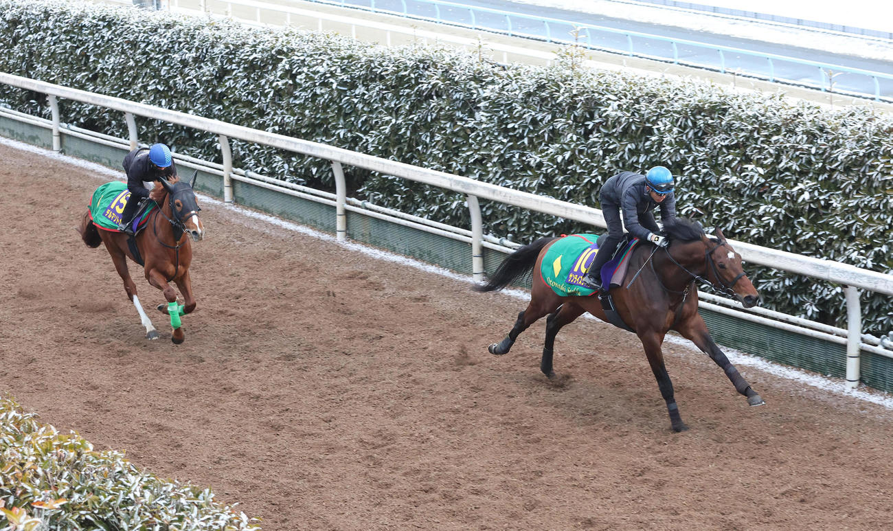 坂路を併せ馬で追い切るデルマソトガケ（左）と幸騎手騎乗のサンライズジパング（撮影・白石智彦）