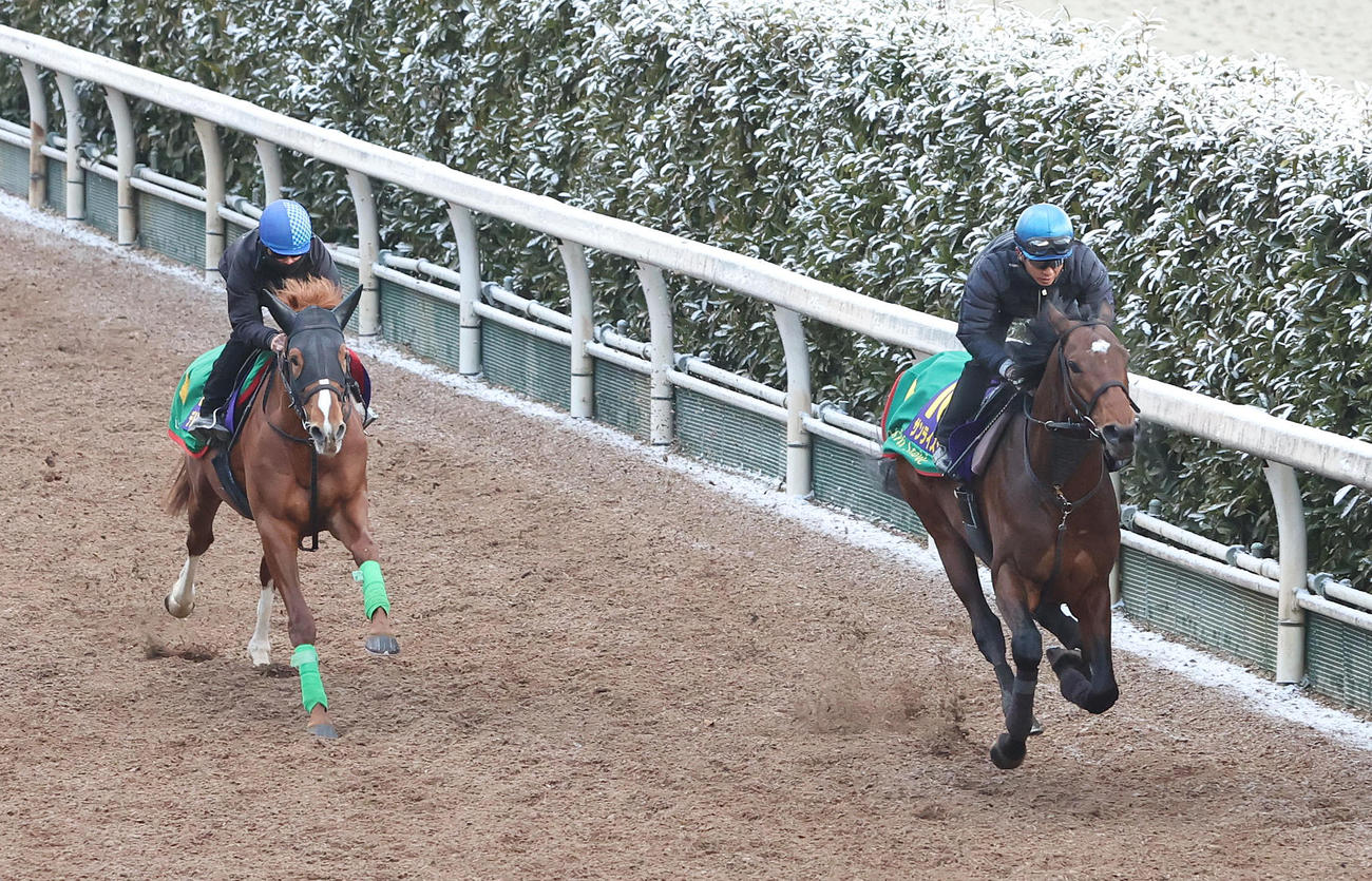 坂路を併せ馬で追い切るデルマソトガケ（左）と幸騎手騎乗のサンライズジパング（撮影・白石智彦）