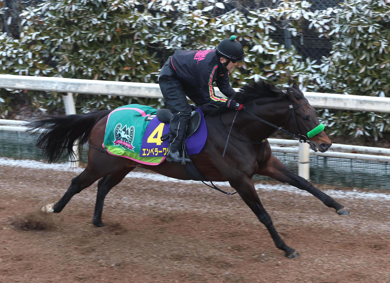 坂路を単走で追い切るエンペラーワケア（撮影・白石智彦）