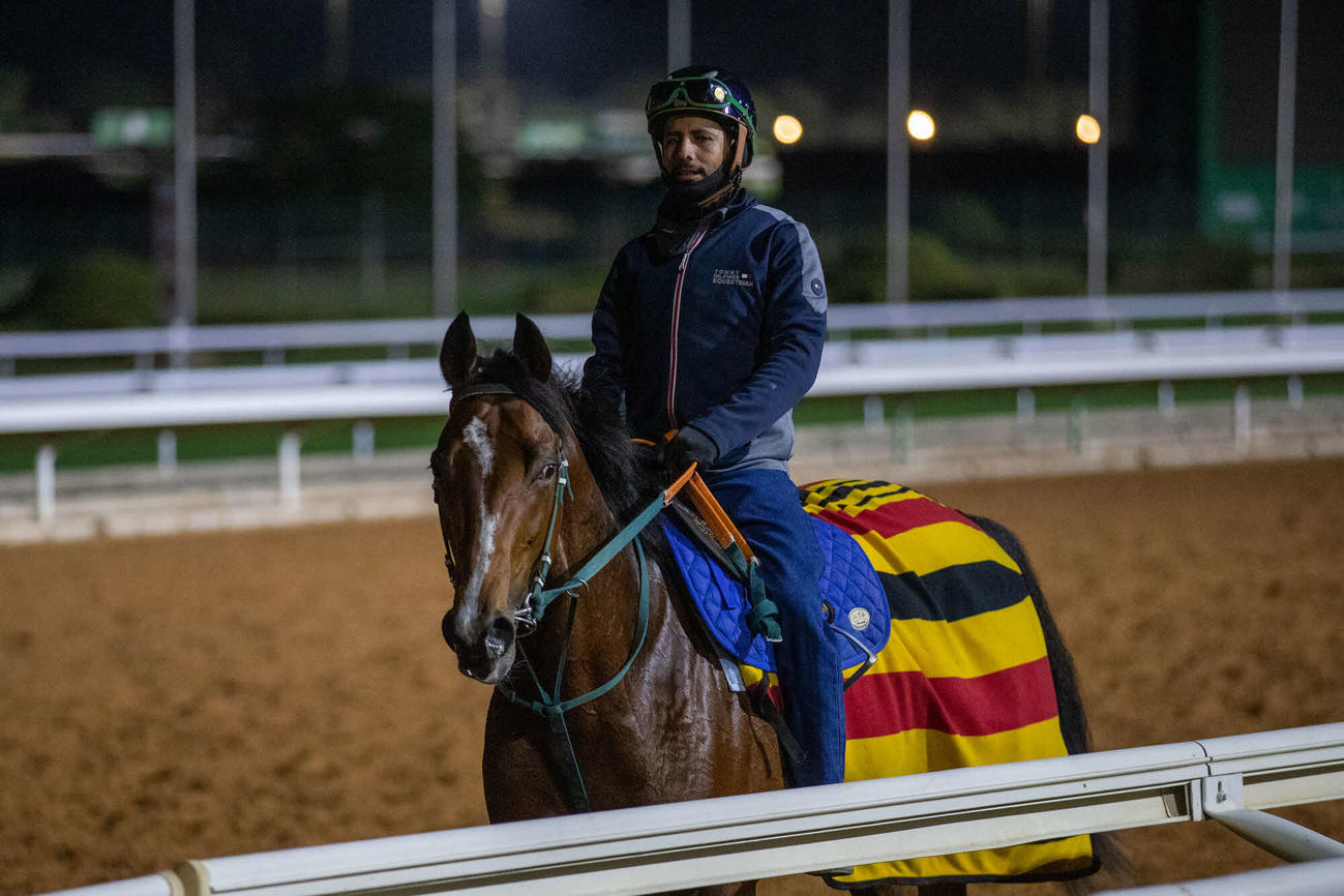 13日朝のアルムスマク（C）Jockey Club of Saudi Arabia／Abdullah Wanas