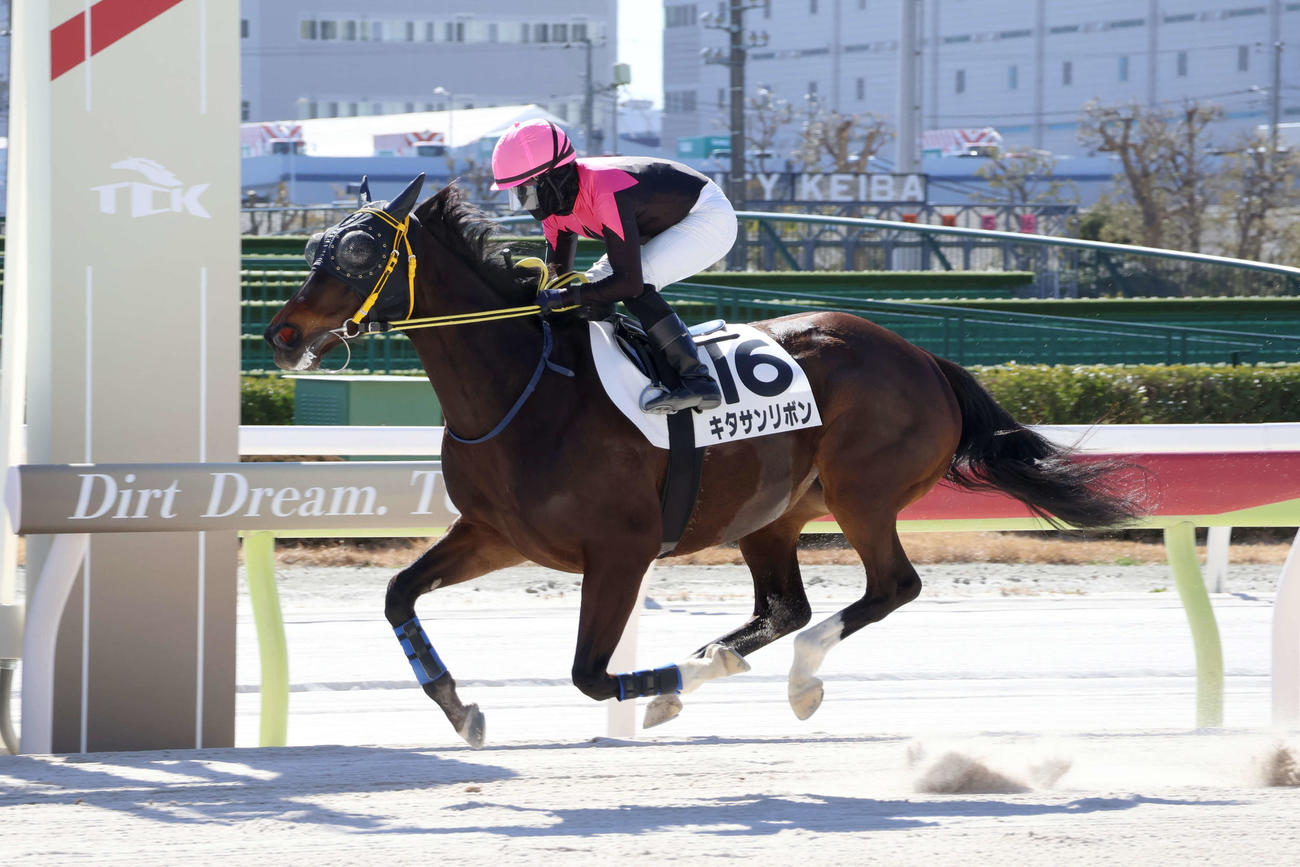 大井1R、キタサンリボンで地方競馬通算700勝を達成した達城龍次騎手