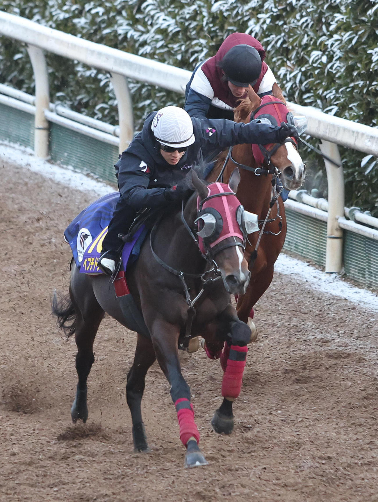 藤岡佑騎手を背に坂路をヴェーヌドール（奥）と併せ馬で追い切るペプチドナイル（撮影・白石智彦）