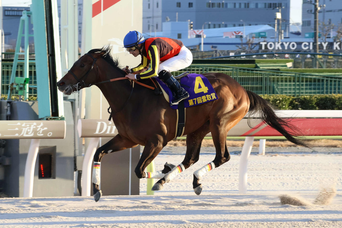 直線で抜け出し雲取賞を制したジャナドリアとC・ルメール騎手