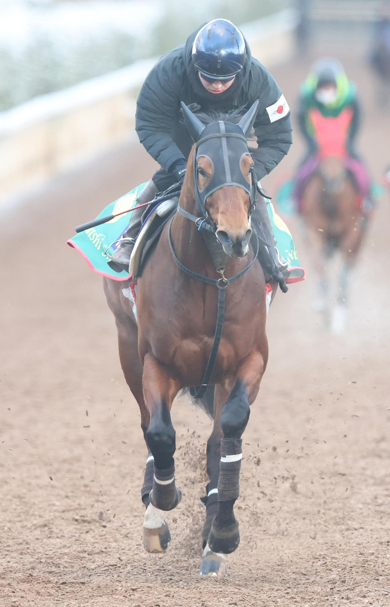 鮫島克駿騎手を背に坂路にて併せ馬で追い切るサンデーファンデー