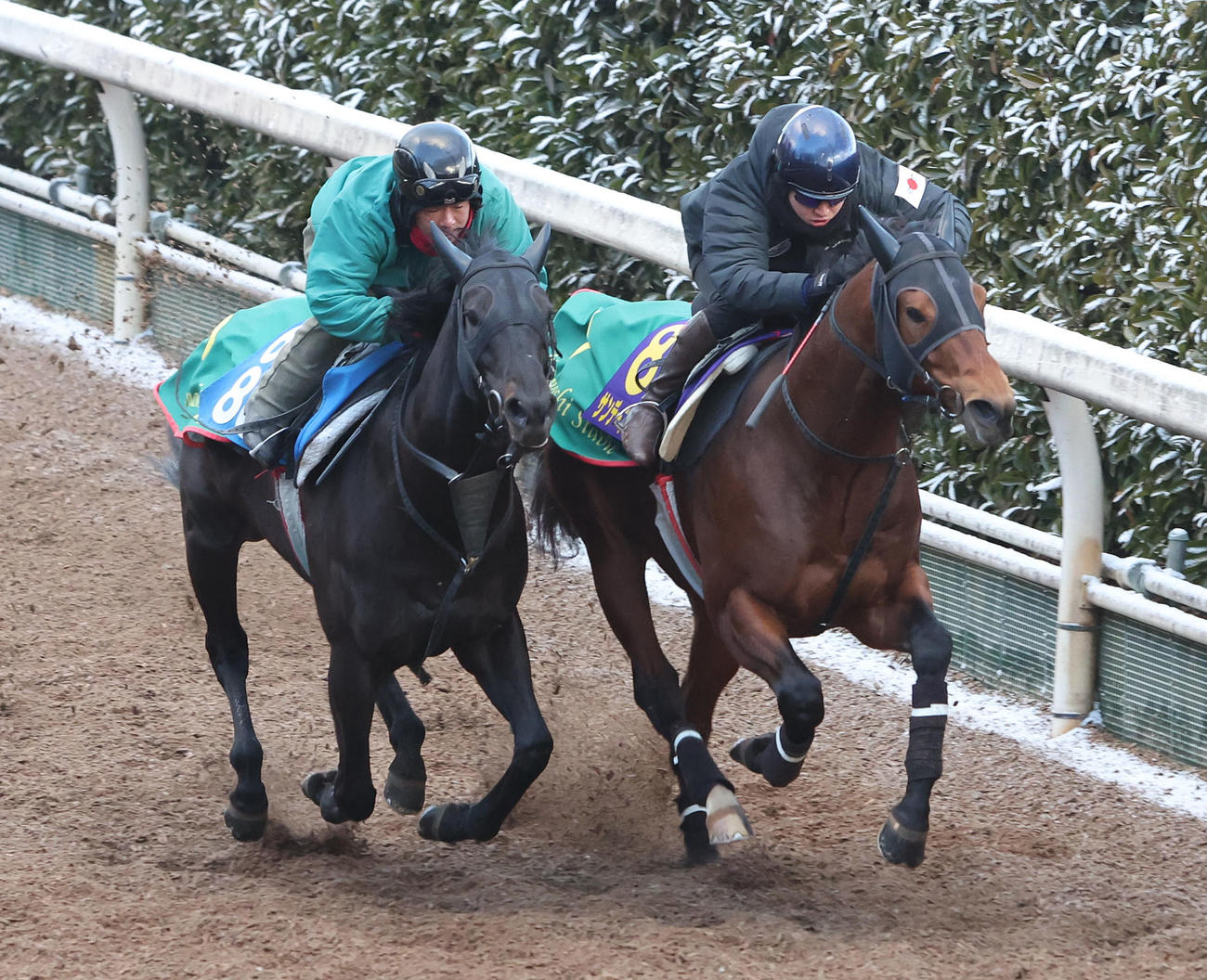 鮫島駿騎手を背に坂路をウナギノボリ（左）と併せ馬で追い切るサンデーファンデー（撮影・白石智彦）