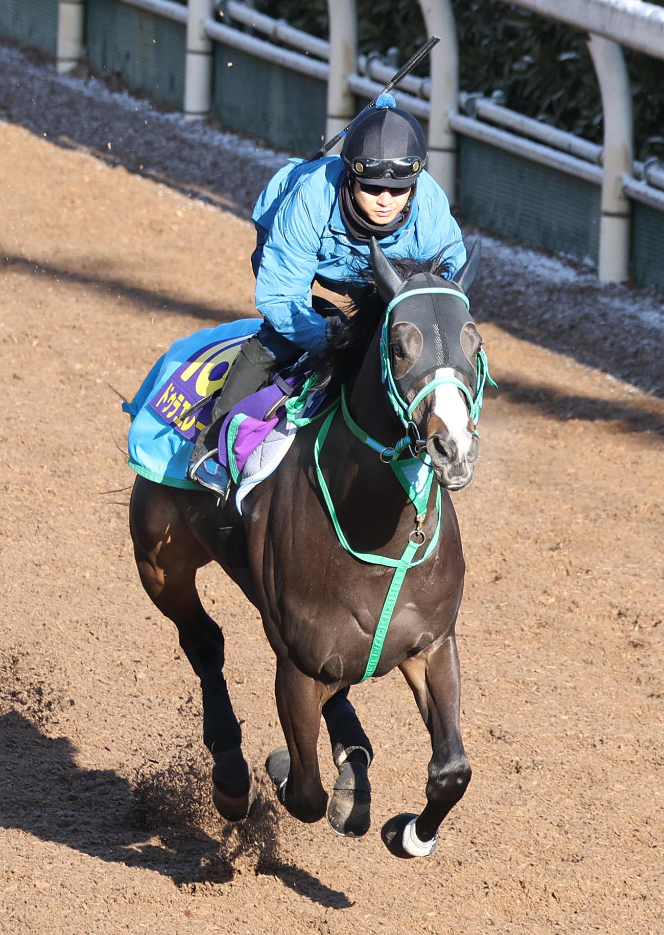 坂路を単走で追い切るドゥラエレーデ（撮影・白石智彦）