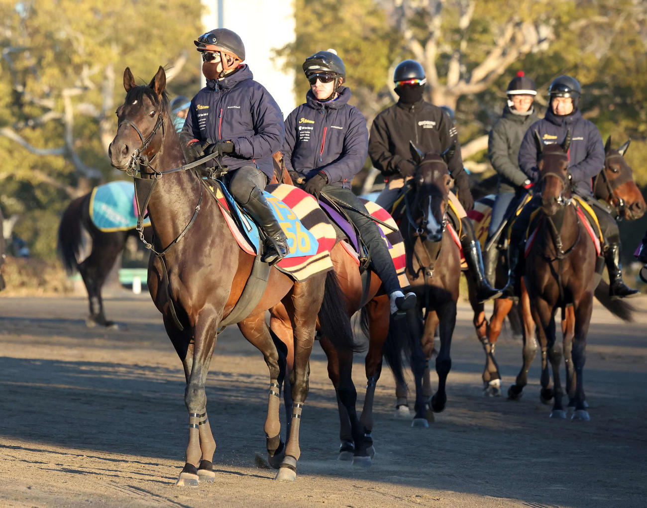 輪乗りをして馬場の開門を待つヘデントール（撮影・丹羽敏通）