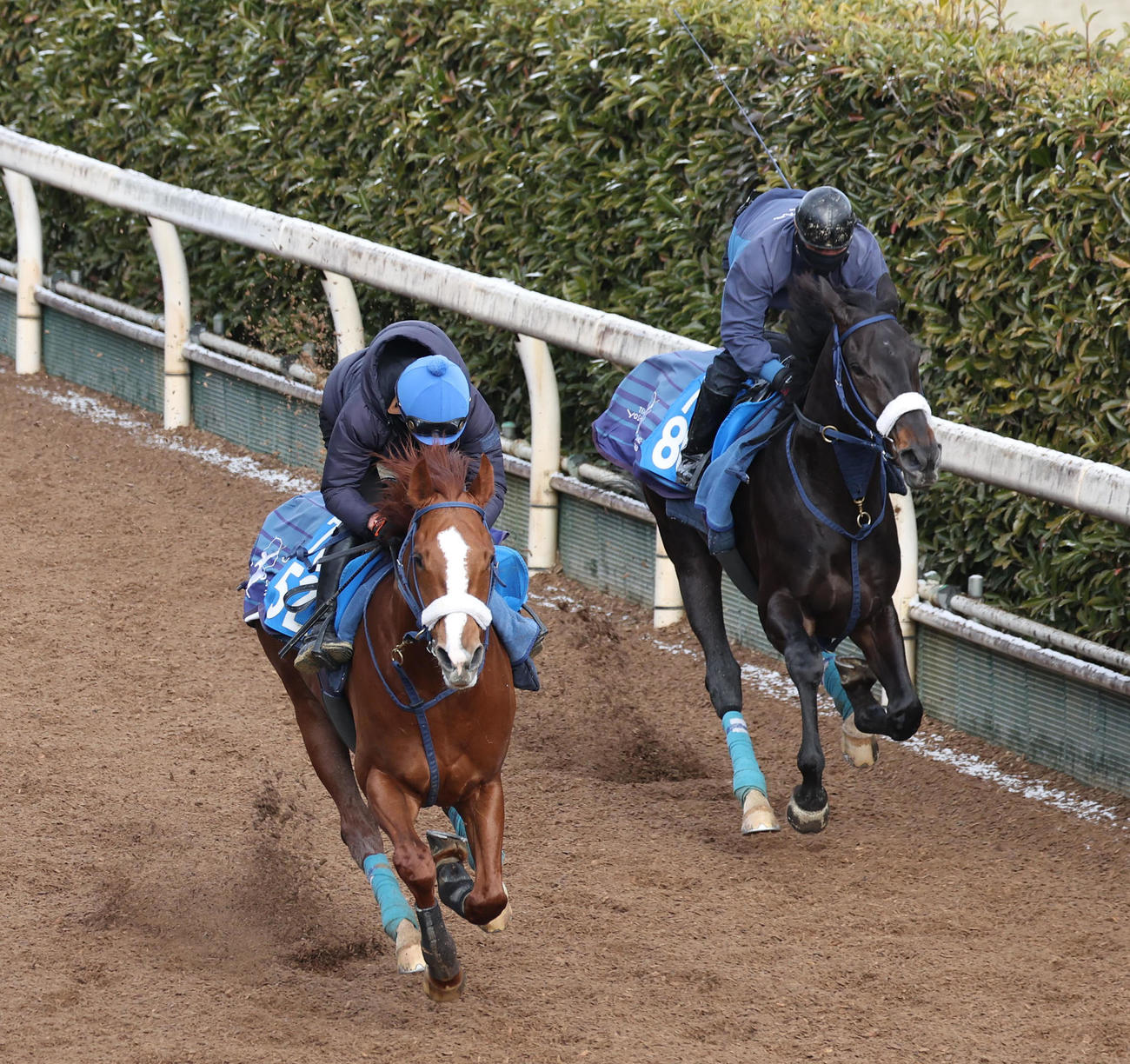坂路をジャスティンライズ（右）と併せ馬で追い切るフォーチュンタイム（撮影・白石智彦）