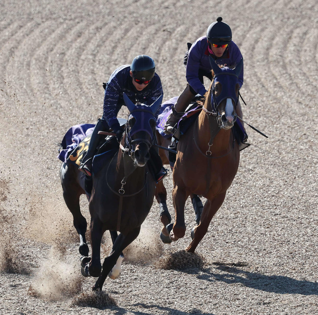 ミッキーファイト（右）は美浦ウッドでグロスビークと併せて追い切られた（撮影・丹羽敏通）