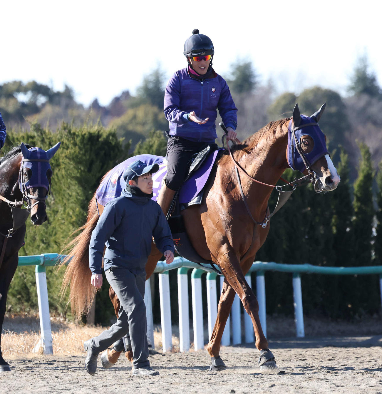 最終追い切りを終えて馬場を出るミッキーファイト。手前は田中博師（撮影・丹羽敏通）