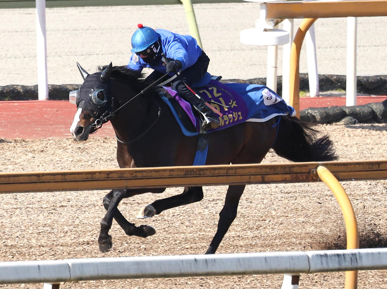 水口騎手を背にCウッドを併せ馬で追い切るソウルラッシュ（撮影・白石智彦）