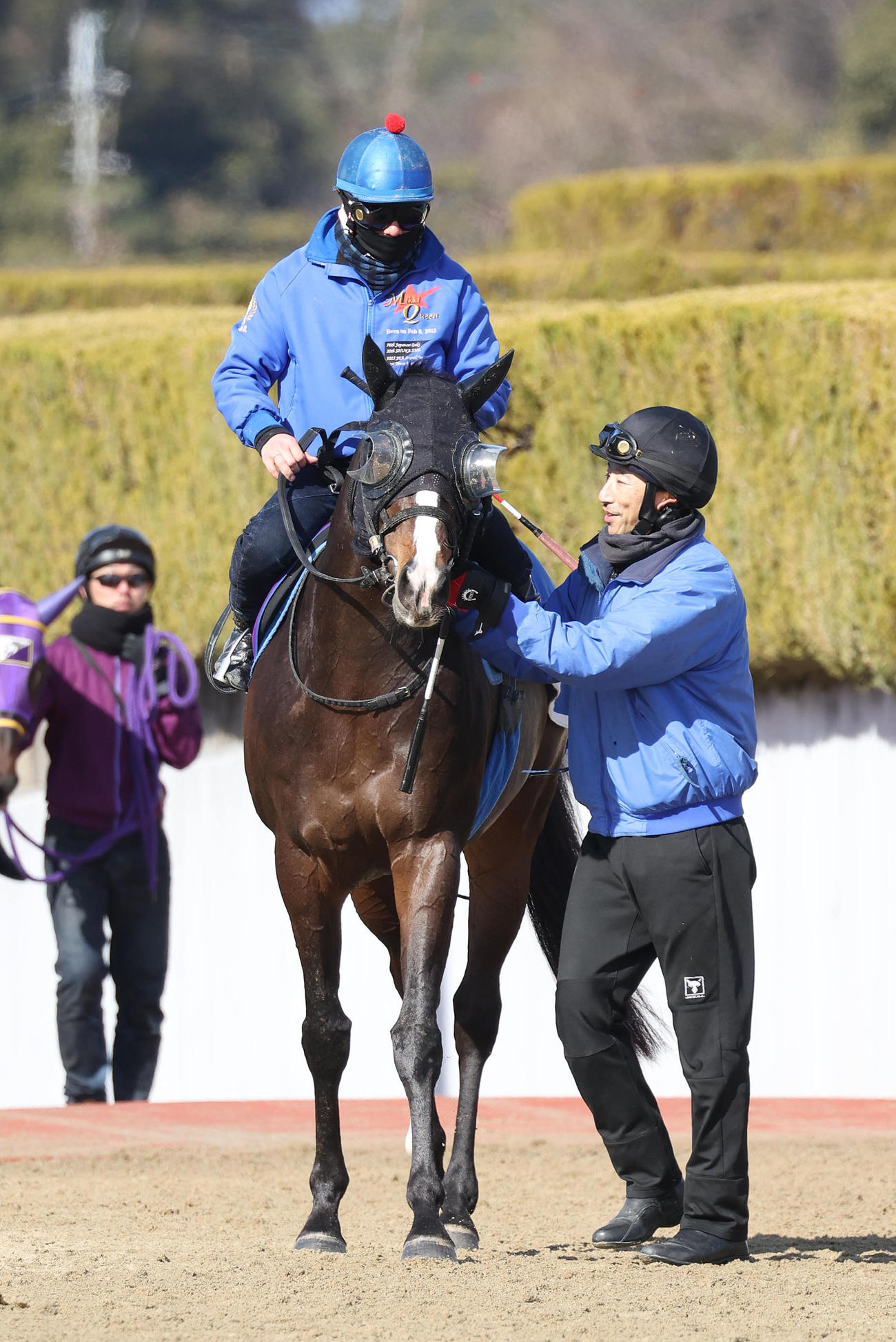 水口優也騎手を背に調教から引き揚げるソウルラッシュ（撮影・白石智彦）