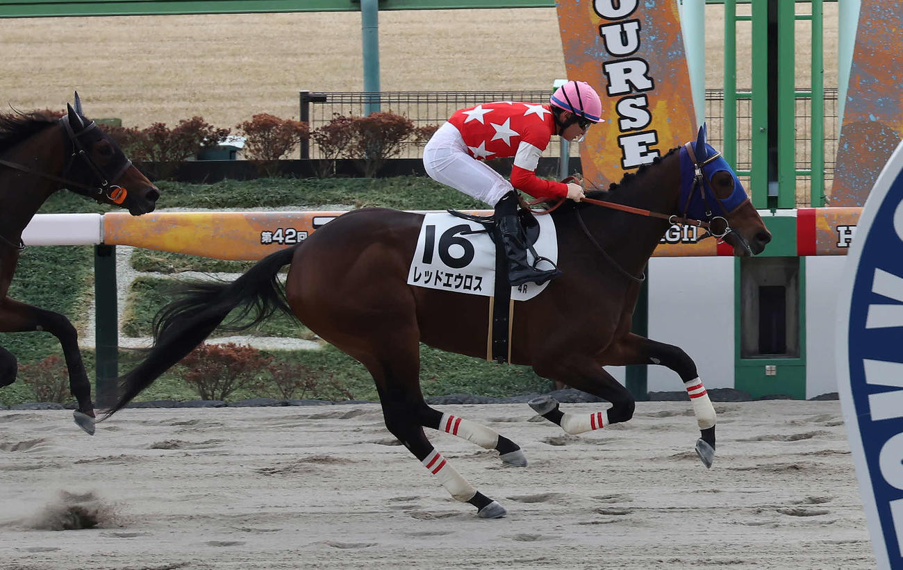東京4R、3歳新馬戦を制したレッドエウロスと原騎手（撮影・丹羽敏通）