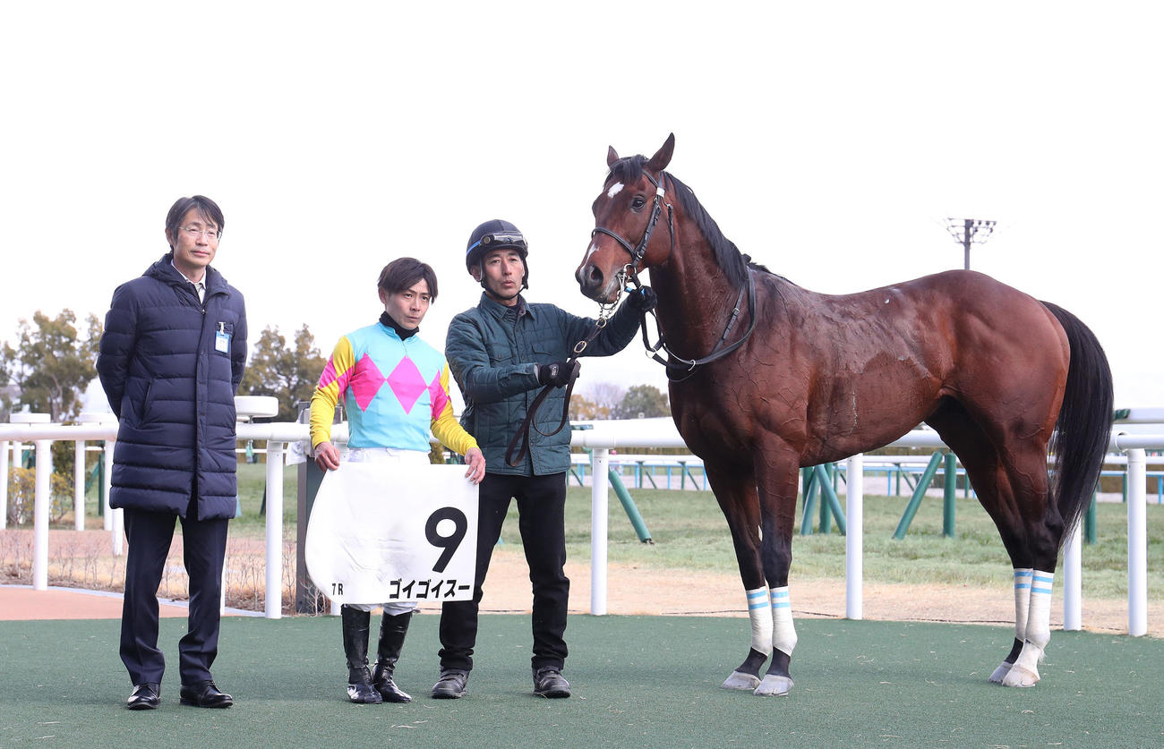京都7R、4歳以上1勝クラスを制したゴイゴイスーと口取りに並ぶ川須騎手（中央）（撮影・白石智彦）