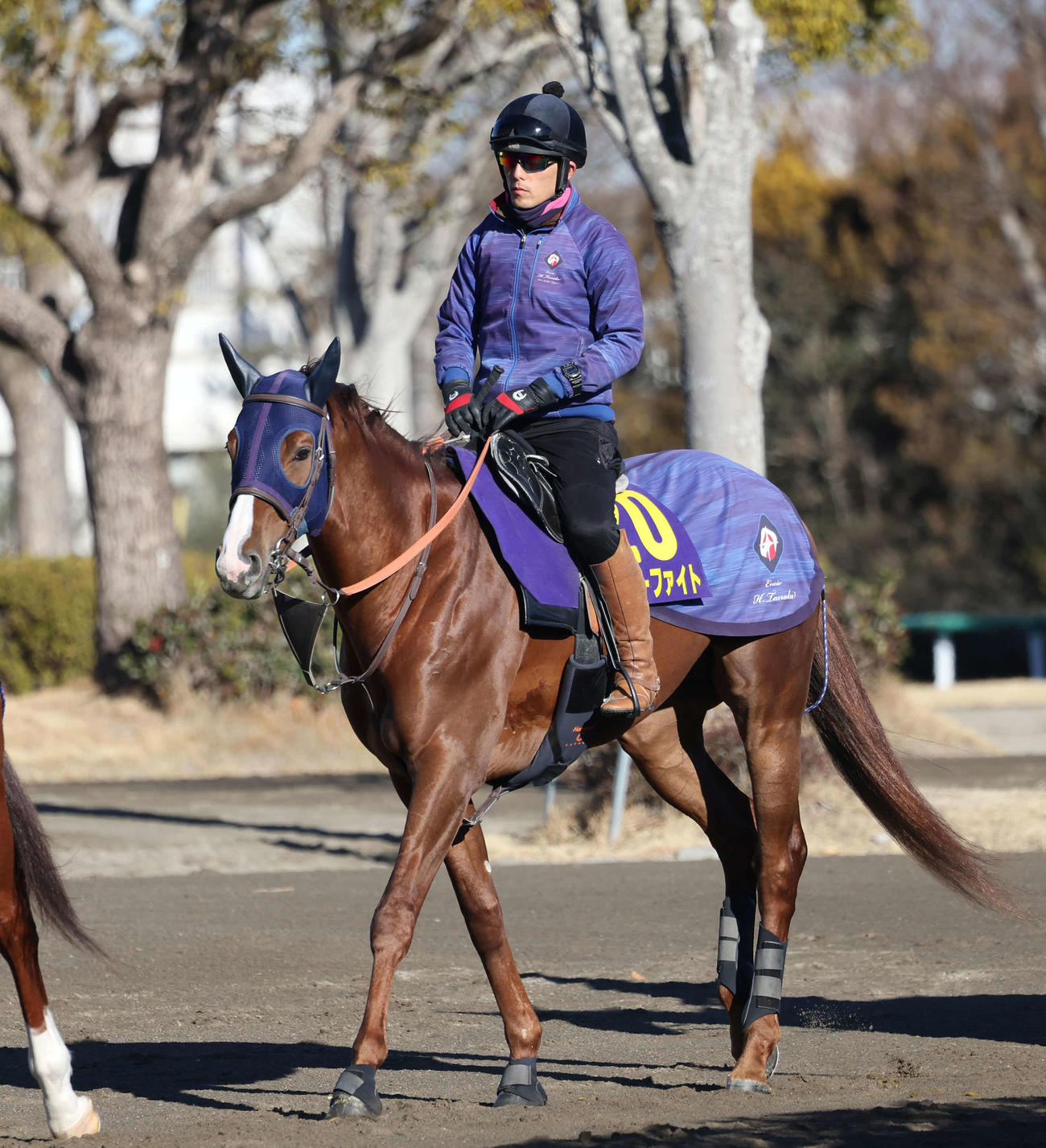 20日、馬場へ向かうミッキーファイト
