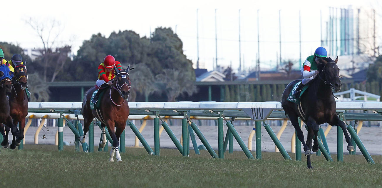 ダイヤモンドSを制したヘデントールと戸崎騎手（右）。中央は2着ジャンカズマ（撮影・丹羽敏通）
