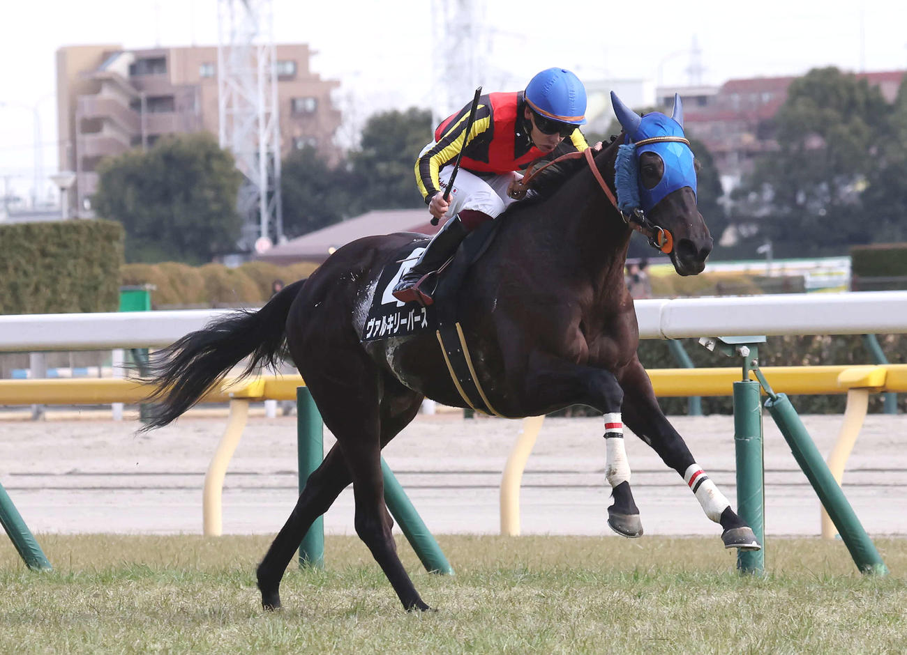 フリージア賞を制したヴァルキリーバースと横山武騎手（撮影・丹羽敏通）