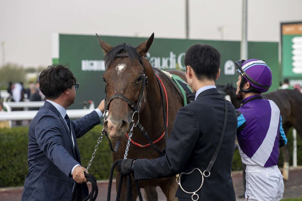レースを終え、引き揚げてきたイグナイター（提供：地方競馬全国協会）