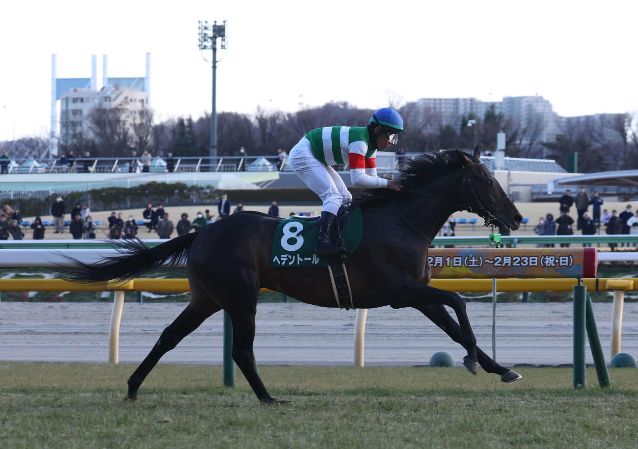 東京11R、ダイヤモンドSを制したヘデントールと戸崎騎手（撮影・丹羽敏通）