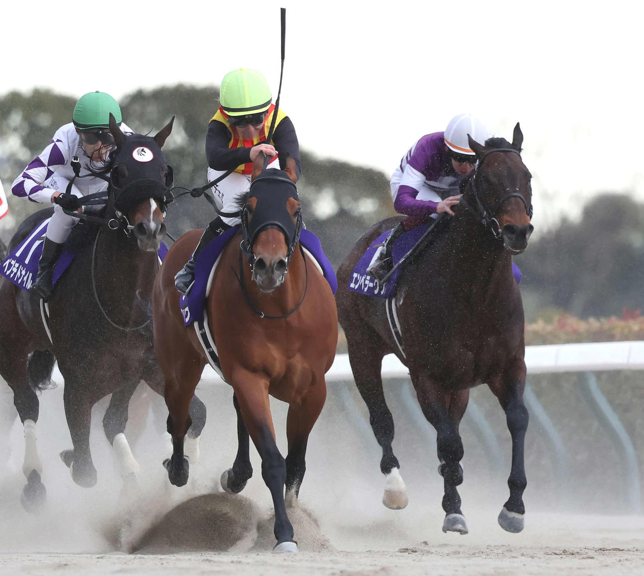 フェブラリーS5着に敗れたエンペラーワケア（右）。中央は勝ったコスタノヴァ（撮影・丹羽敏通）