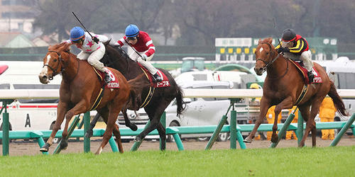 中山記念を制したマテンロウスカイと横山典騎手(左)。中央は2着のドーブネ、、右は3着のジオグリフ(撮影・丹羽敏通)=2024年2月25日、中山競馬場