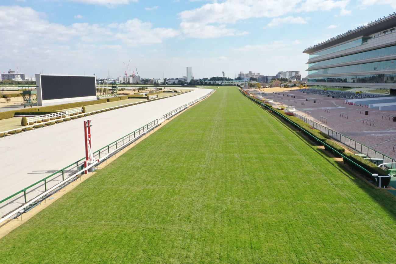 新しくなった阪神競馬場の芝コース（阪神競馬場提供）
