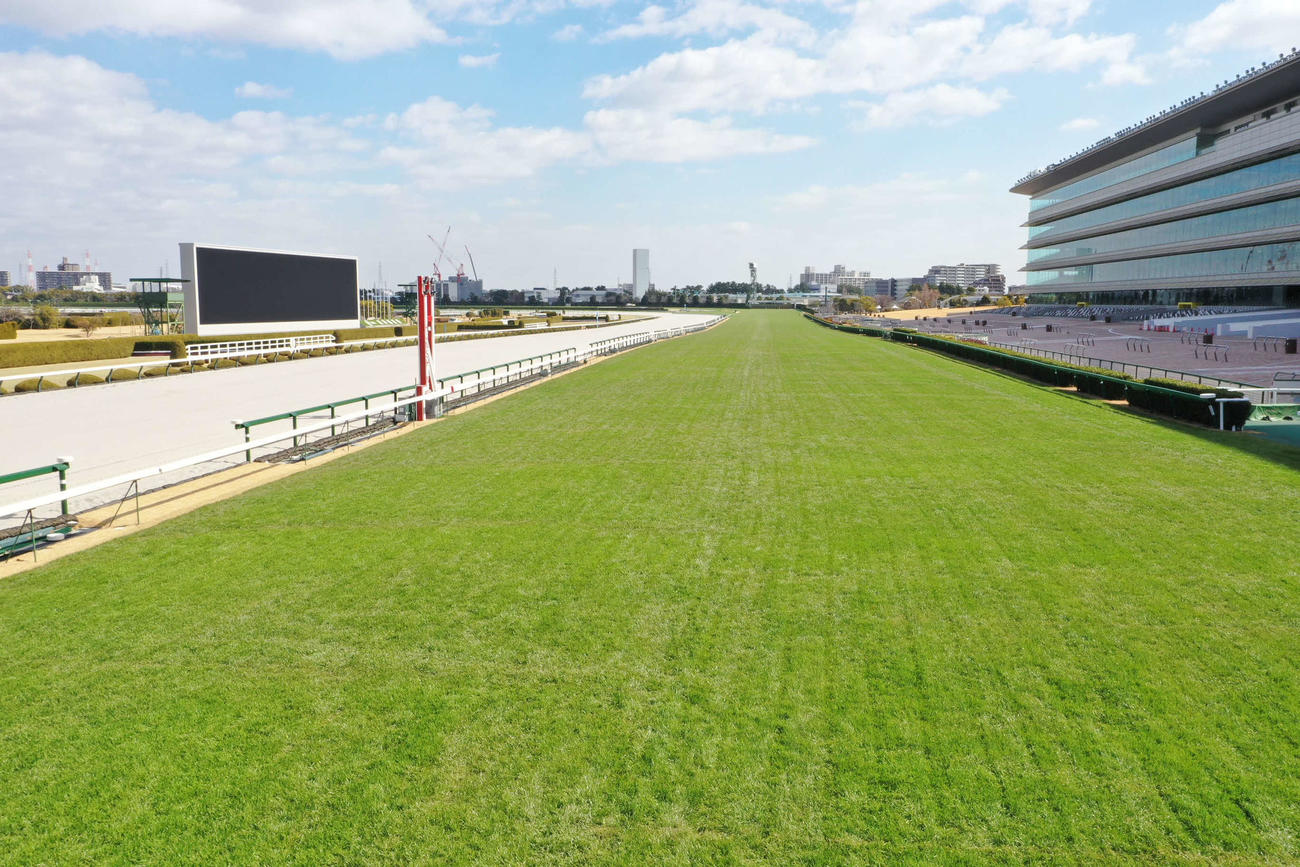 新しくなった阪神競馬場の芝コース2（阪神競馬場提供）