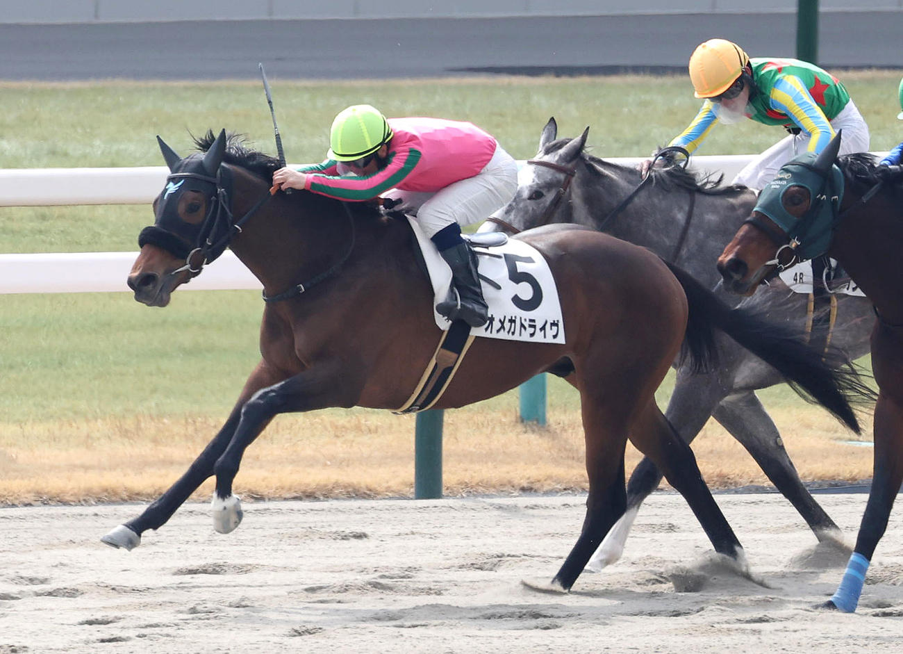 京都4R、直線外から伸びて新馬戦を制したオメガドライヴ（撮影・白石智彦）