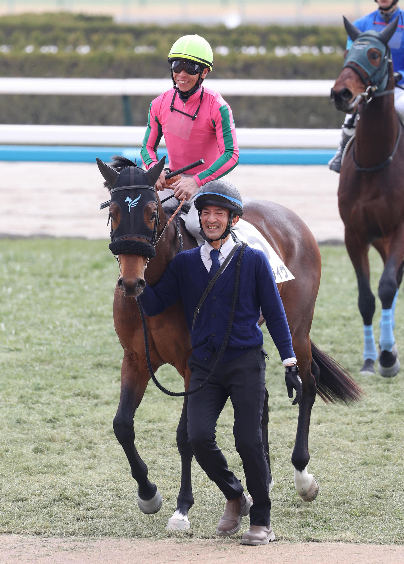 京都4R、新馬戦を制したオメガドライヴ（撮影・白石智彦）