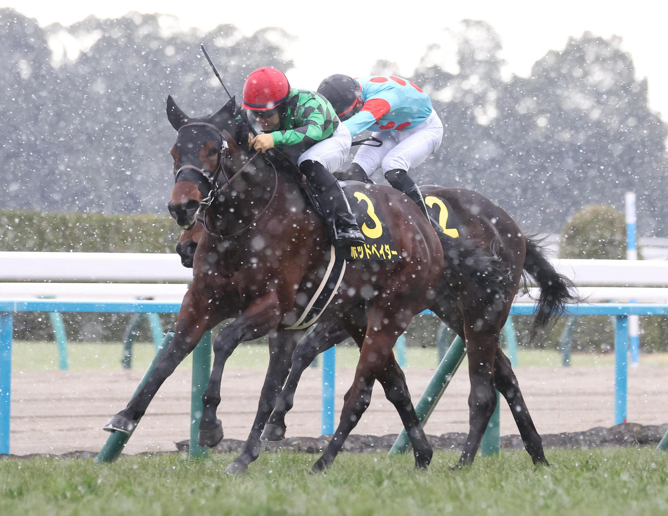 京都10R、直線抜け出してマーガレットSを制したポッドベイダー（撮影・白石智彦）