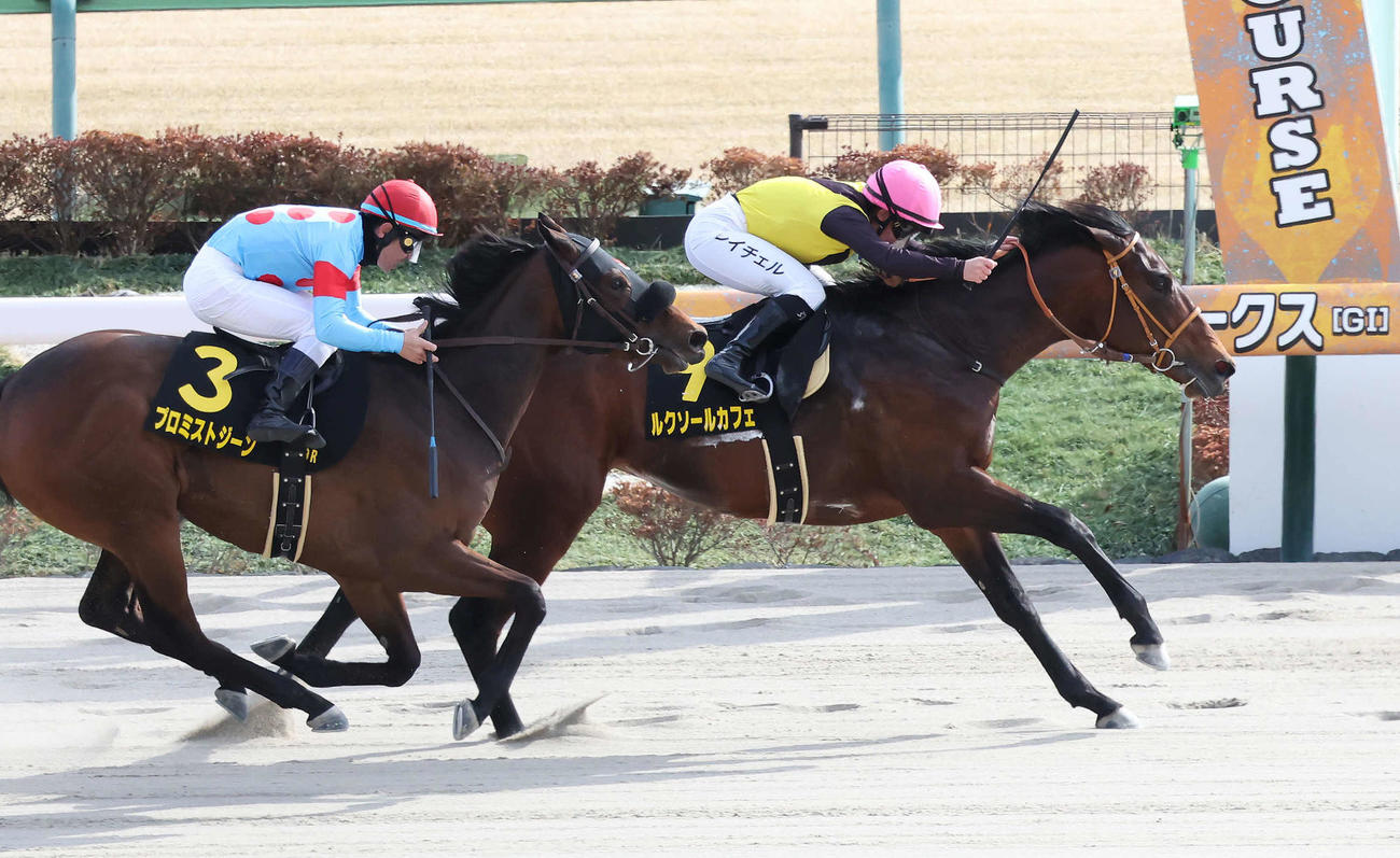 東京9R、ヒヤシンスSを制したルクソールカフェとキング騎手（撮影・丹羽敏通）