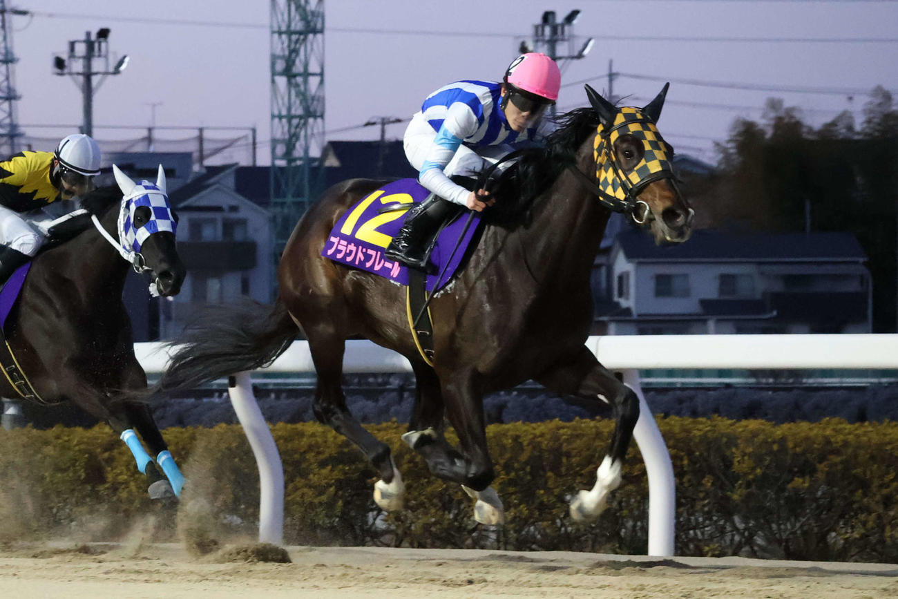4コーナーで先頭に立ち日刊スポーツ賞ユングフラウ賞を制したプラウドフレールと張田昂騎手