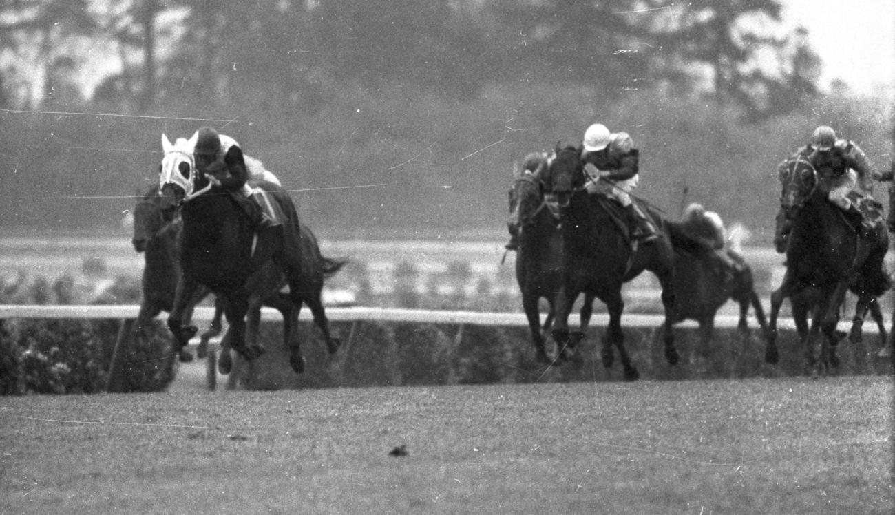 73年皐月賞を制したハイセイコー