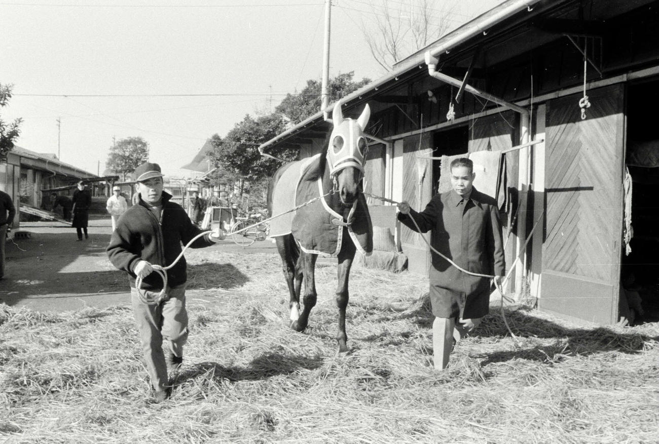 73年、大井から東京競馬場の鈴木厩舎に移籍したハイセイコー