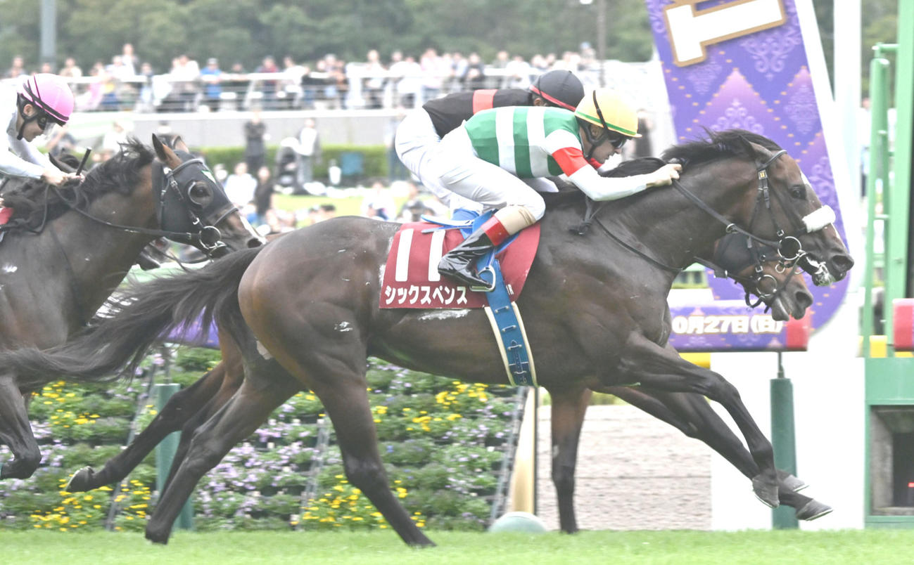 シックスペンス（2024年10月6日撮影）