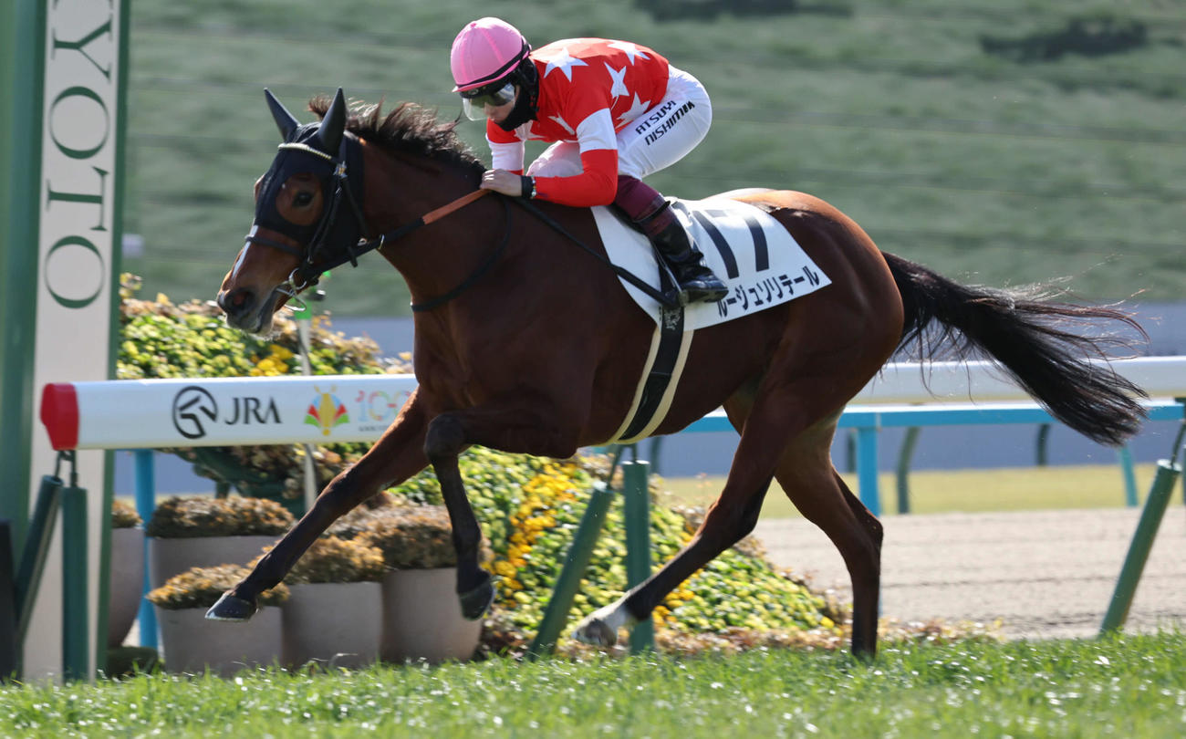 3歳新馬戦を制したルージュソリテール（2025年2月9日撮影）