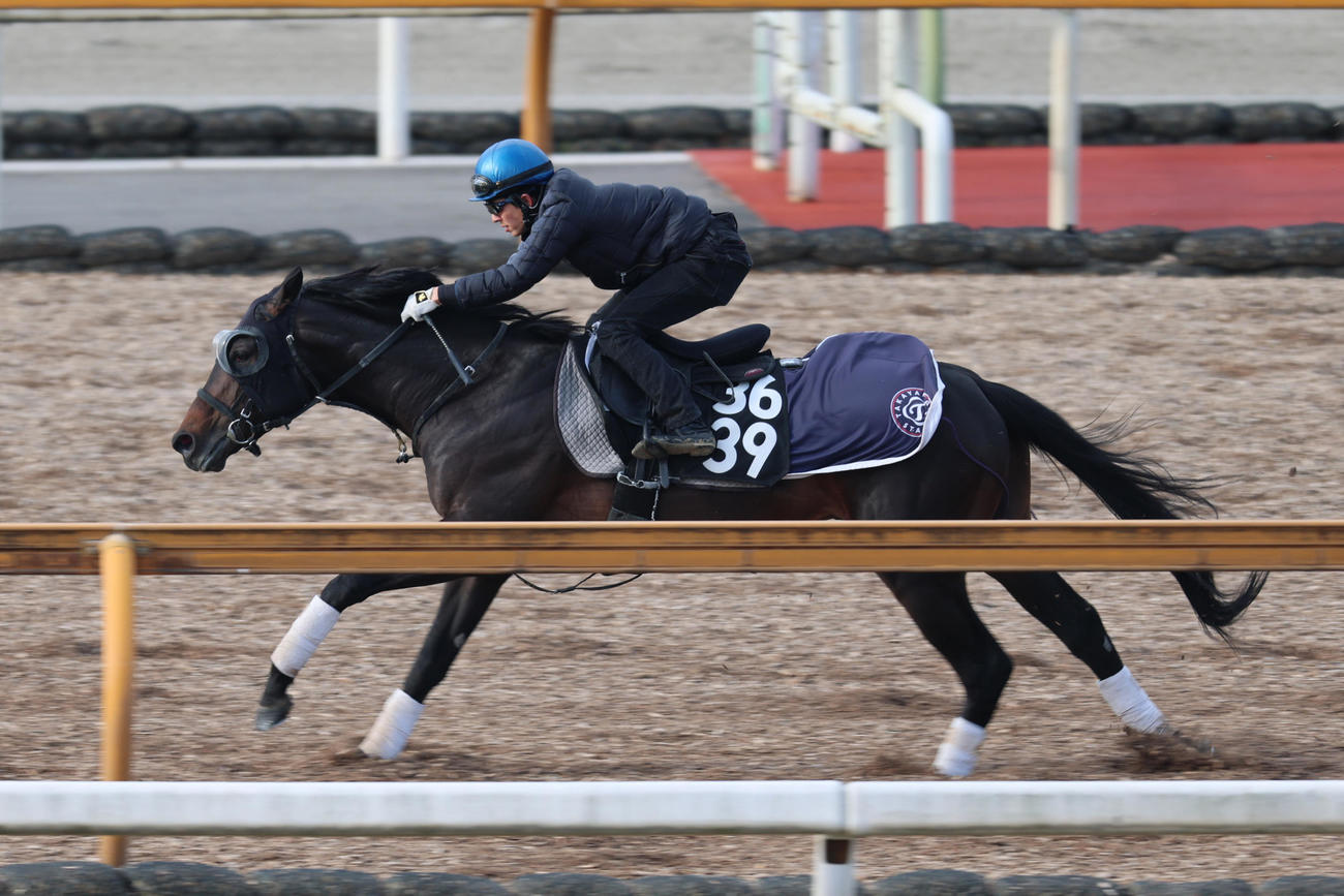 幸騎手が騎乗し、併せ馬を大きく突き放したミュージアムマイル