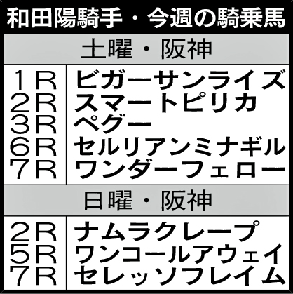 和田陽騎手・今週の騎乗馬