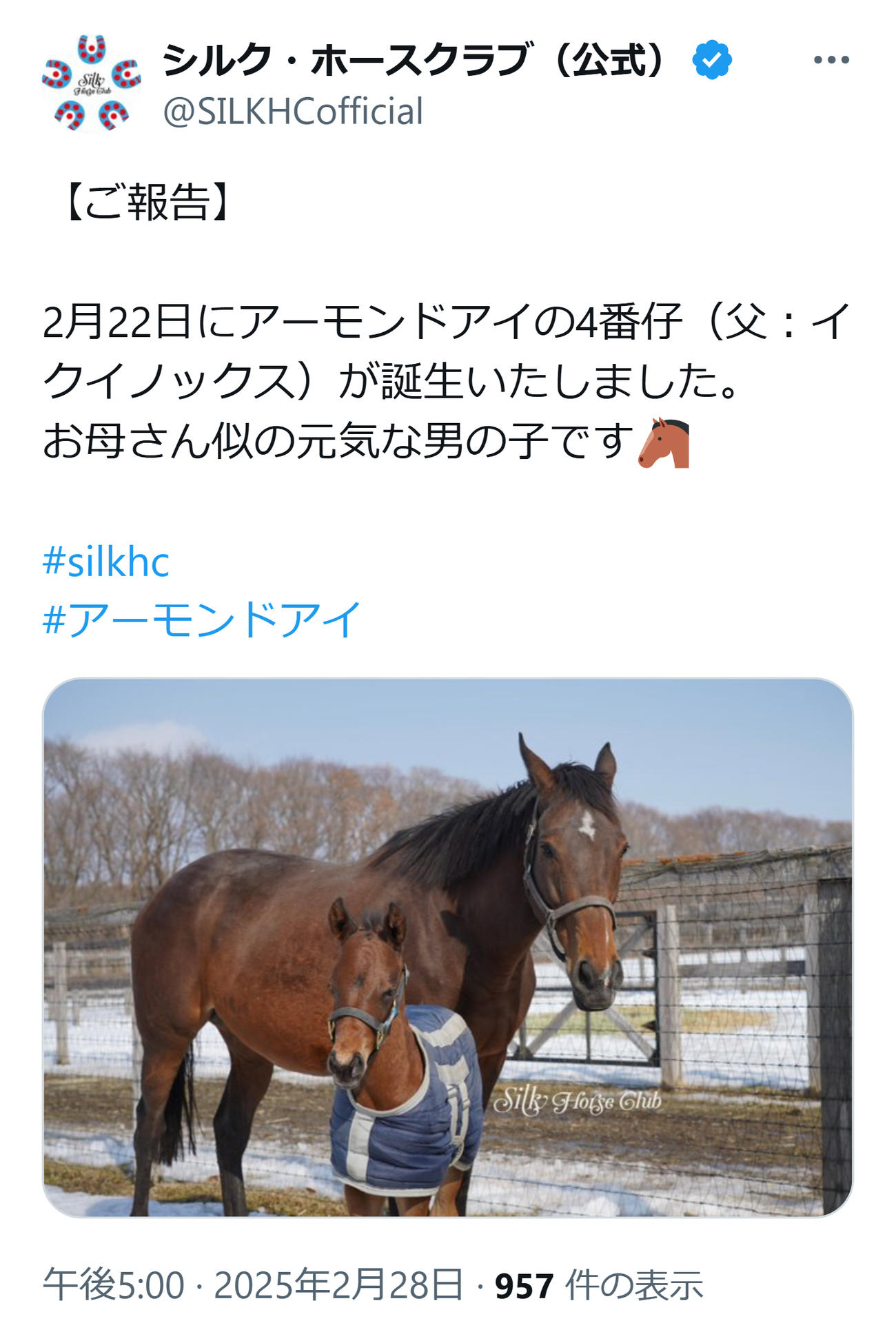 シルク・ホースクラブのXから