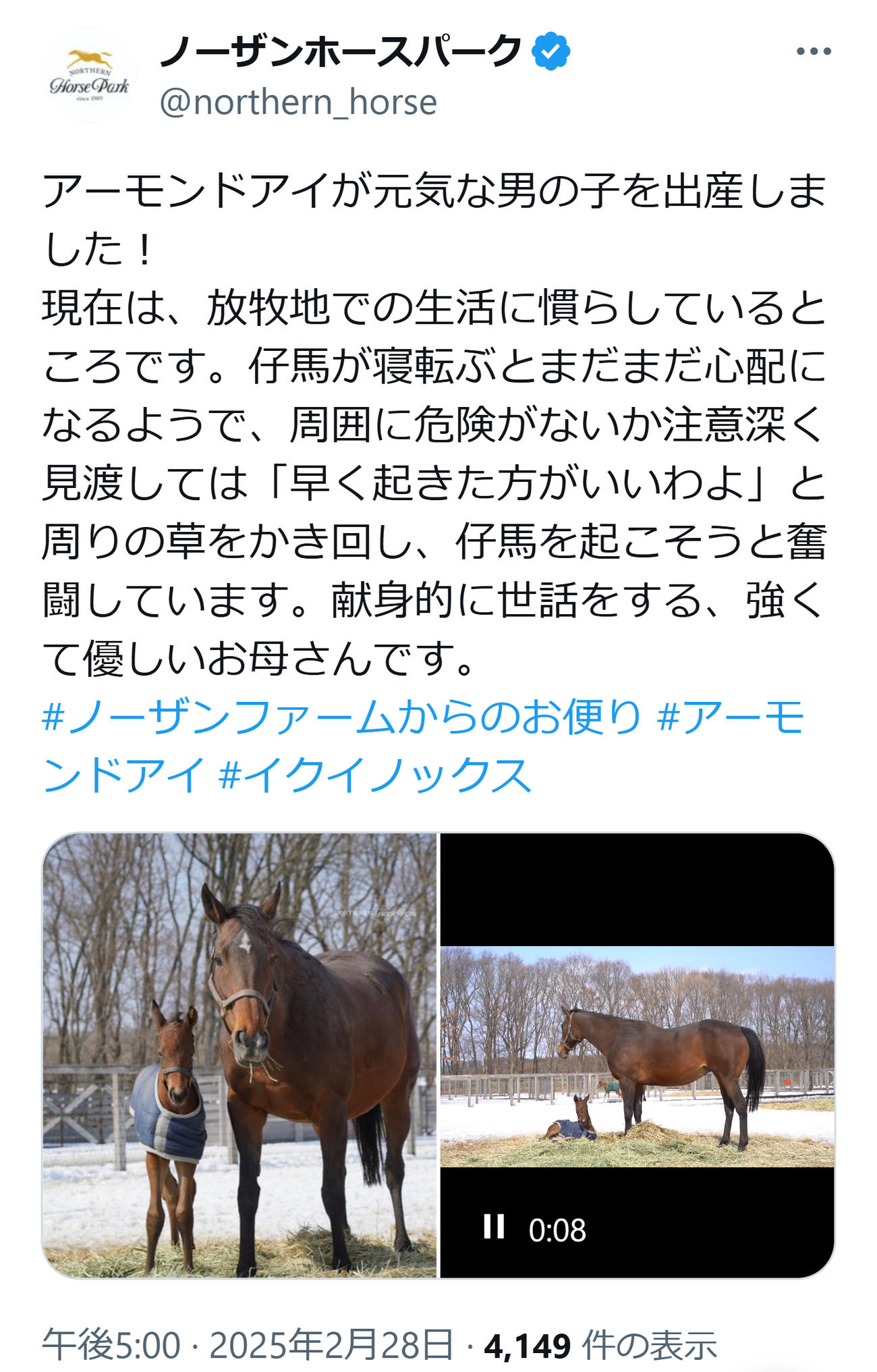 ノーザンホースパークのXから
