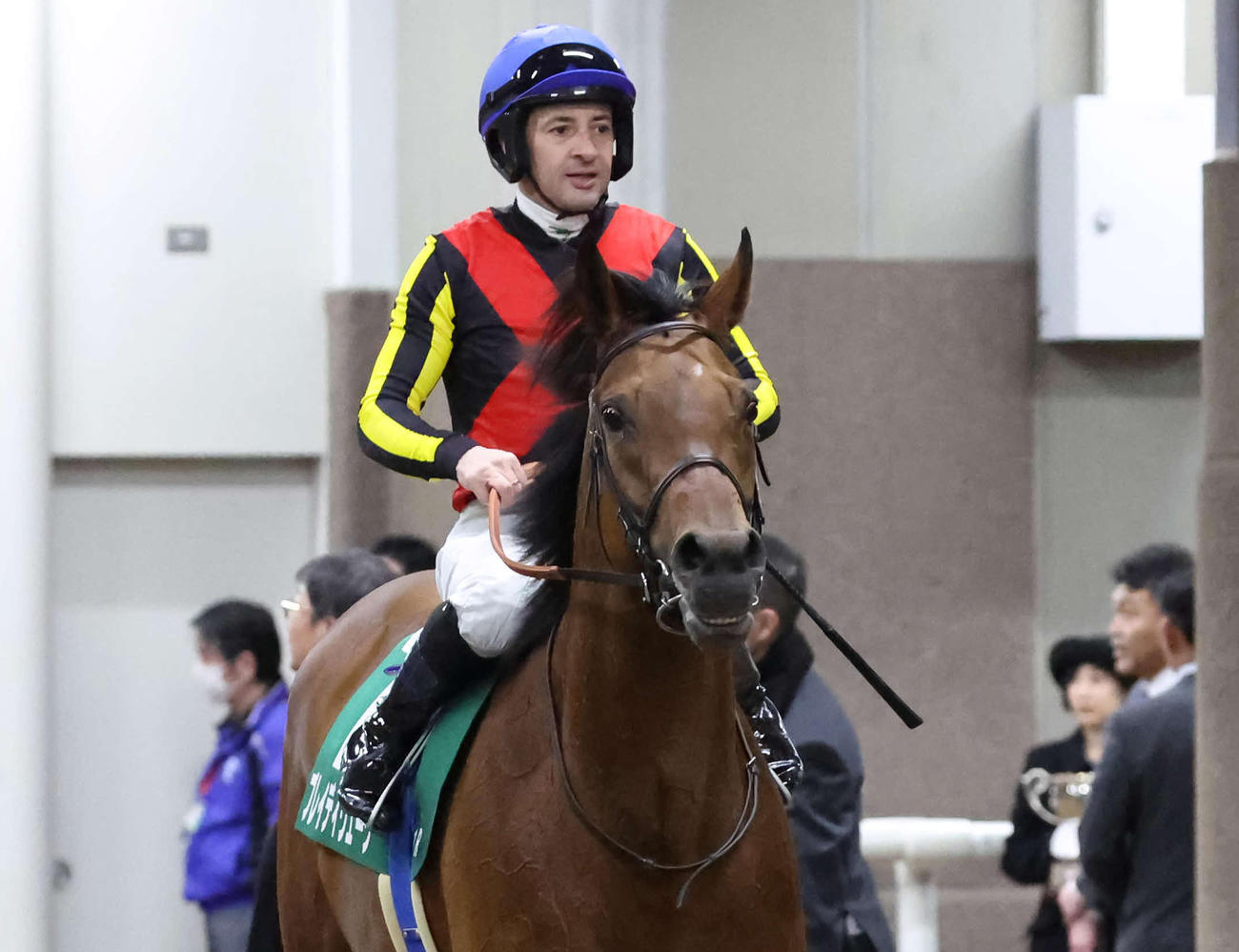 9日、東京新聞杯で4着に敗れたブレイディヴェーグ