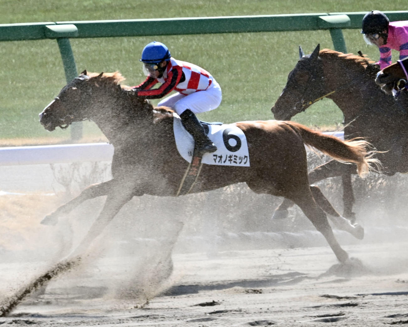 中山1R、3歳未勝利戦に出走したマオノギミック鞍上の上里騎手（撮影・千葉一成）