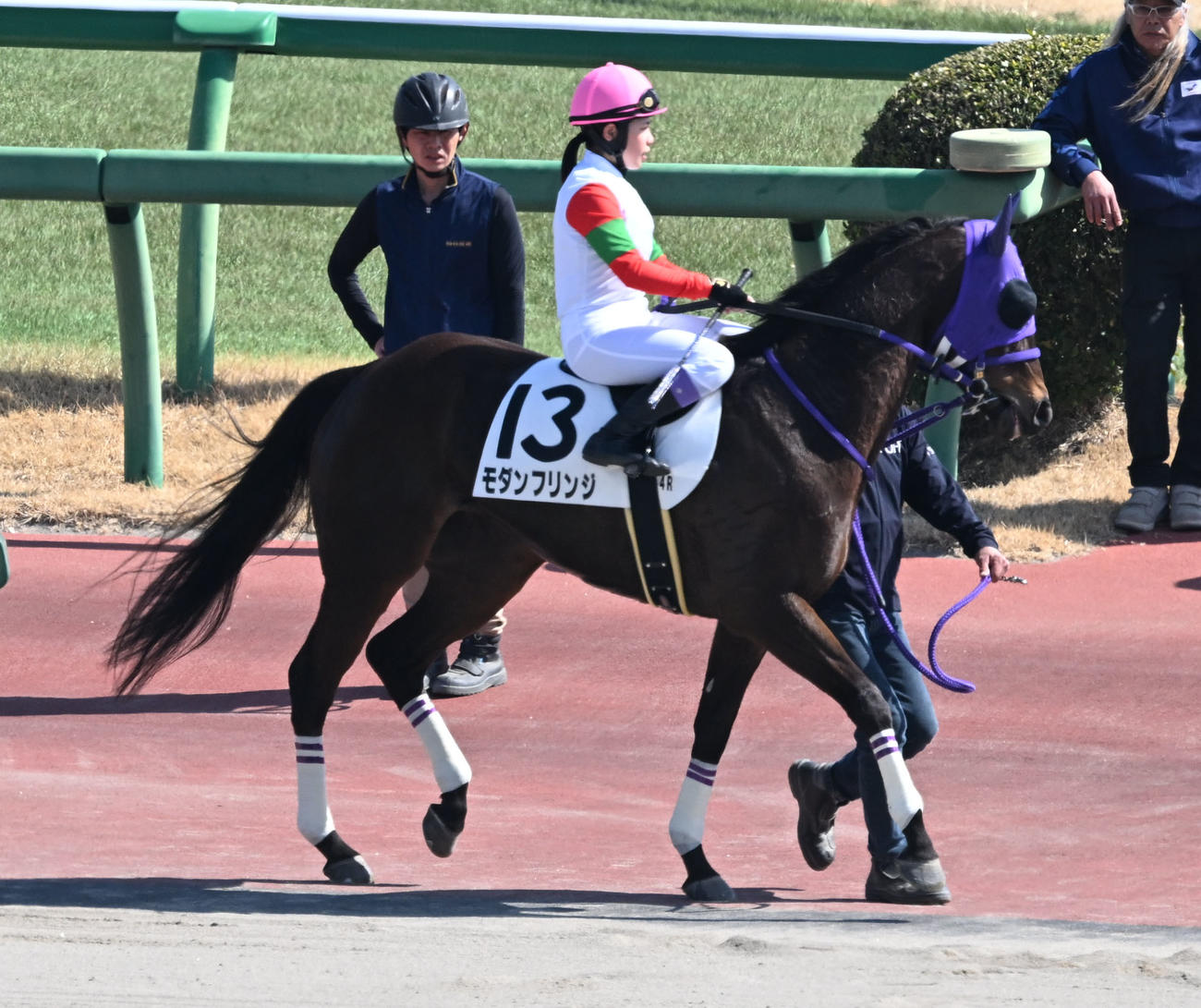 中山4Rに出走したモダンフリンジと谷原騎手（撮影・千葉一成）