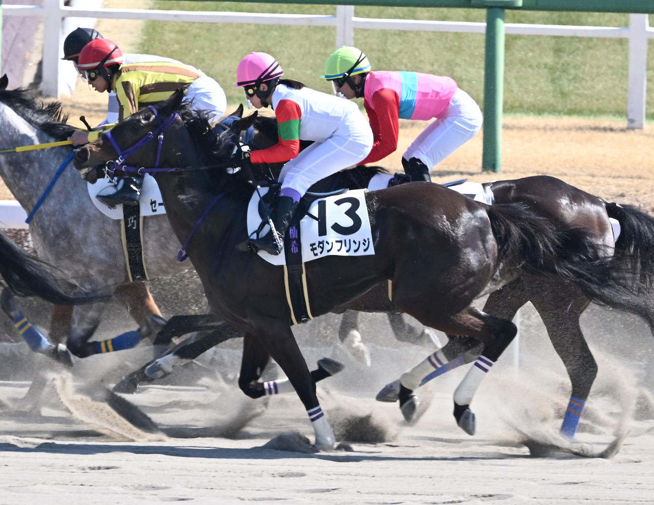 中山4Rに出走したモダンフリンジと谷原騎手（撮影・千葉一成）