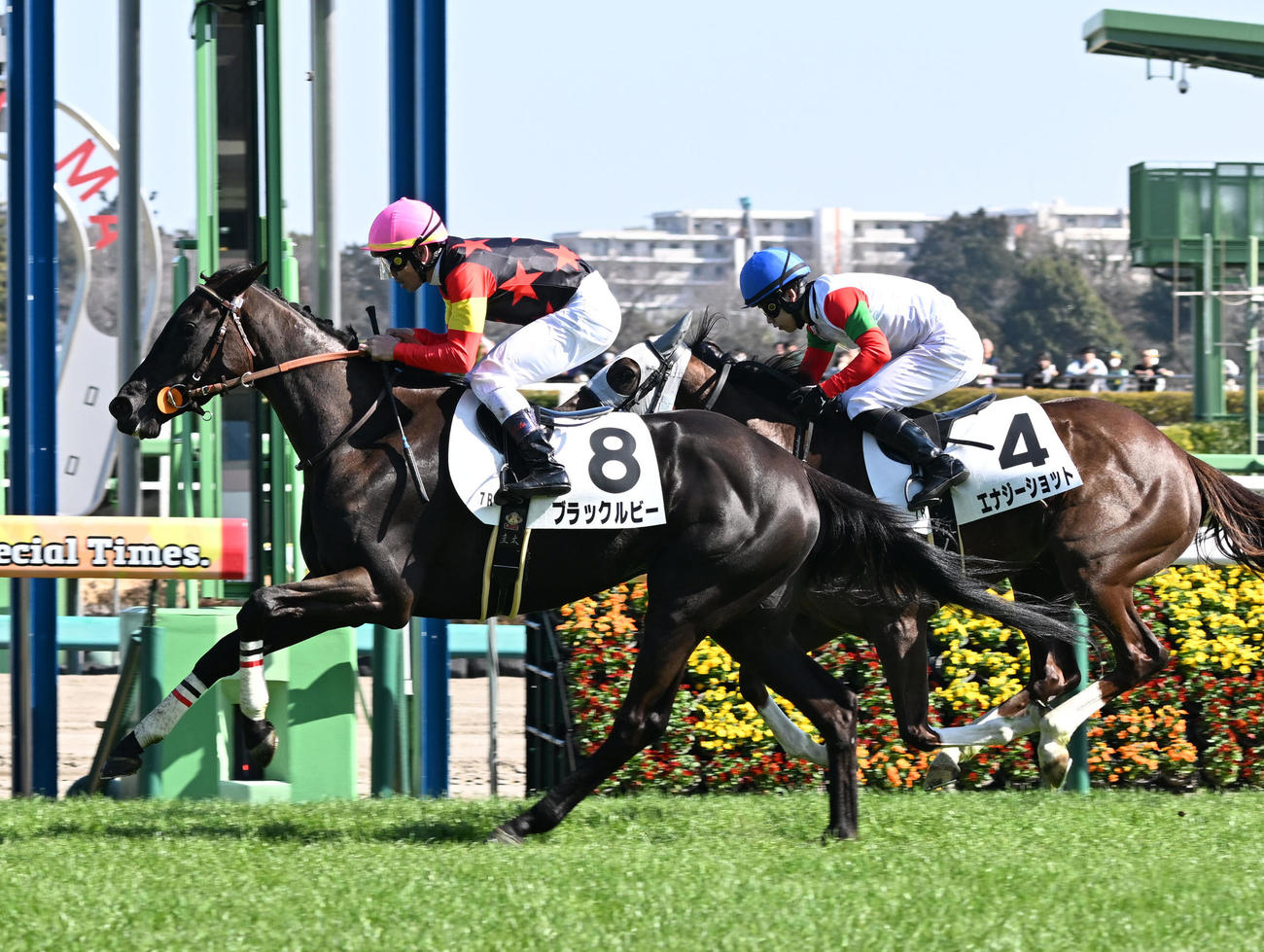 中山7R、3歳牝馬限定の1勝クラスを制したブラックルビーと戸崎騎手（左）（撮影・千葉一成）