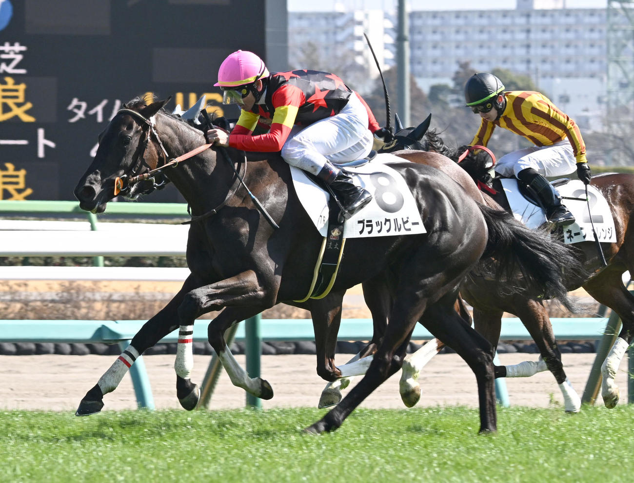 中山7R、3歳牝馬限定の1勝クラスを制したブラックルビーと戸崎騎手（撮影・千葉一成）